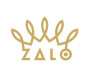 Zalo (США)