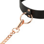 Нашийник з повідцем Rosy Gold - Collar with Leash - Black