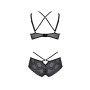 Комплект Passion DROSERA BIKINI black, XXL/XXXL, бюстгальтер і трусики-кюлоти