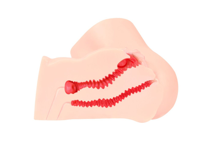 Мастурбатор Kokos 001 Adel ONAHOLE Real Vagina Мастурбатор Kokos 001 Adel ONAHOLE Real Vagina