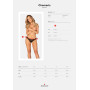 Трусики Obsessive Chemeris panties XS/S