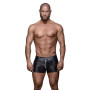 Чоловічі шорти Noir Handmade H006 Men shorts - L